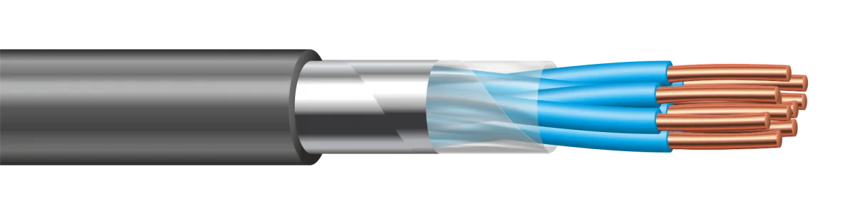 РВШЭ-5 5×2×0,5